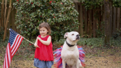 Red/White/Blue 4th Of July Dog Tutu Skirt (XXXL)