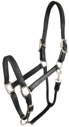 Gatsby Padded Leather Halter - Black - Horse