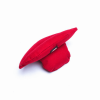 Big Red Lips Dog Toy - Medium