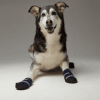 Healers Medical Dog Booties - One Pair - Medium