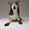 Healers Medical Dog Booties - One Pair - Extra Small