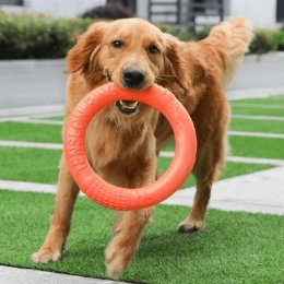 Dog Ring Toy (Color: Orange, size: )