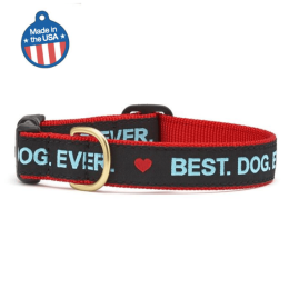 Best Dog Ever Collar or Leash (Color: Best Dog Ever, size: medium)