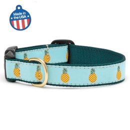 Pineapple Collar or Leash (Color: Pineapple, size: XS)