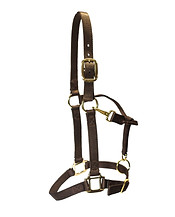 Nylon Halters (size: COB 1")