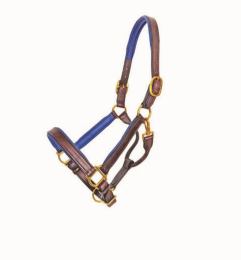 1" Brown Padded Halter (Color: Blue, size: Cob)