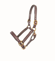 1" Brown Padded Halter (Color: Brown, size: Cob)