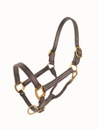 1" Track Halter (size: Cob)