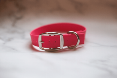 Biothane Buckle Dog Collar (Color: Red, size: Large 15-17 inches)