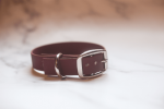 Biothane Buckle Dog Collar