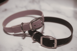 Biothane Buckle Dog Collar