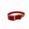 Holiday Biothane Buckle Dog Collar