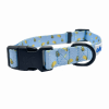 Cutie Ties Fun Design Dog Collar