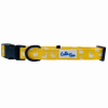 Cutie Ties Fun Design Dog Collar