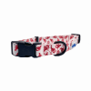 Cutie Ties Fun Design Dog Collar