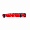 Cutie Ties Fun Design Dog Collar