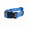 Cutie Ties Fun Design Dog Collar