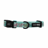 Sassy Woof Dog Collars