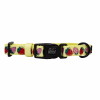 Sassy Woof Dog Collars