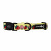 Sassy Woof Dog Collars