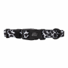 Sassy Woof Dog Collars