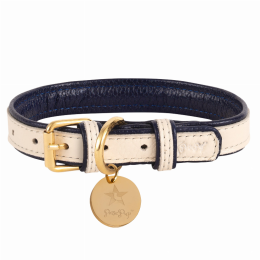 Dog Collar (Color: Hot Marine, size: XL)