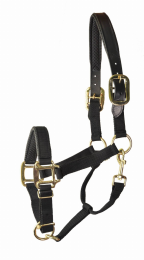 Gatsby Premium Nylon Halter with Padded Leather Overlay (Color: Black, size: Oversize)