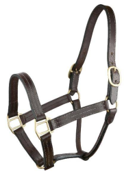 Gatsby Triple Stitched Leather Halter with O Snap (Color: Havana, size: Cob)