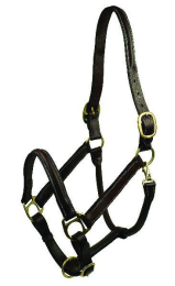 Gatsby Classic Raised Halter (Color: Havana, size: Cob)