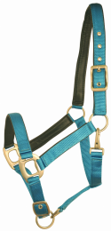 Gatsby Leather Padded Adjustable Nylon Halter (Color: Blueberry/Brown, size: Cob)