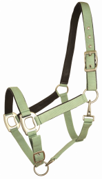 Gatsby Leather Padded Adjustable Nylon Halter (Color: Pistachio/Brown, size: Cob)