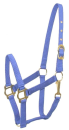 Gatsby Classic Nylon Halter With Snap (Color: Royal Blue, size: Cob)