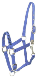 Gatsby I LOVE MY PONY Nylon Halter (Color: Royal, size: Medium-Large Pony)