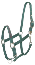 Gatsby I LOVE MY OWNER Nylon Halter (Color: Hunter, size: Horse)