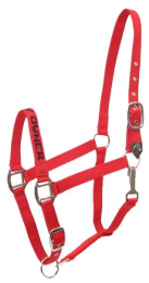 Gatsby I LOVE MY OWNER Nylon Halter (Color: Red, size: Horse)