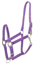 Gatsby I LOVE MY OWNER Nylon Halter (Color: Purple, size: Horse)