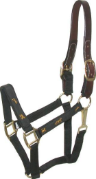 Gatsby Nylon Breakaway Halter with Horse Overlay & Snap (Color: Black, size: Cob)