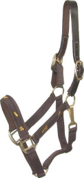 Gatsby Nylon Breakaway Halter with Horse Overlay & Snap (Color: Brown, size: Cob)