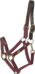 Gatsby Nylon Breakaway Halter with Horse Overlay & Snap (Color: Burgundy, size: Cob)