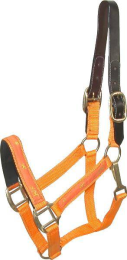 Gatsby Nylon Breakaway Halter with Horse Overlay & Snap (Color: Orange, size: Cob)