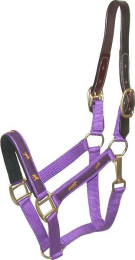 Gatsby Nylon Breakaway Halter with Horse Overlay & Snap (Color: Purple, size: Cob)