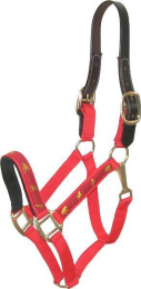 Gatsby Nylon Breakaway Halter with Horse Overlay & Snap (Color: Red, size: Cob)