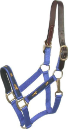 Gatsby Nylon Breakaway Halter with Horse Overlay & Snap (Color: Royal Blue, size: Cob)