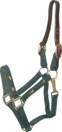 Gatsby Nylon Breakaway Halter with Horse Overlay & Snap (Color: Hunter, size: Horse)