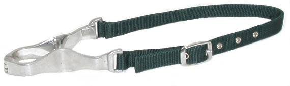 Gatsby Nylon Nutcracker Cribbing Strap (Color: Hunter)