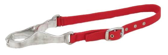 Gatsby Nylon Nutcracker Cribbing Strap (Color: Red)