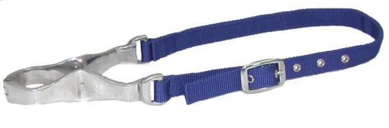 Gatsby Nylon Nutcracker Cribbing Strap (Color: Royal Blue)