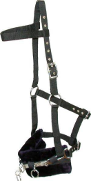 Gatsby Padded Lunging Caveson (Color: Black, size: Horse)