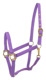 Gatsby Classic Nylon Halter With Snap (Color: Purple, size: Pony)