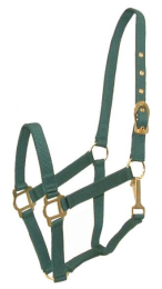 Gatsby Classic Nylon Halter With Snap (Color: Hunter, size: Pony)